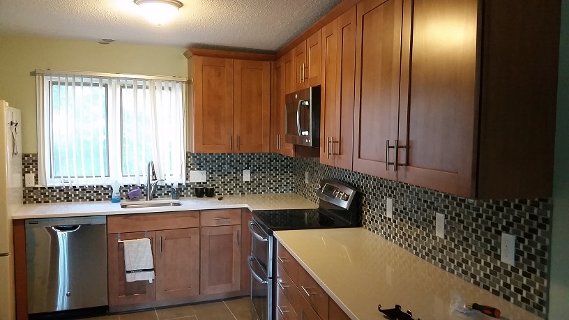 Kitchen Renovation Alt